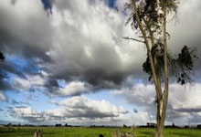 世界杯下注-2026美加墨世界杯赛程公布