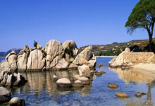 竞猜世界杯-2026世界杯：日本若小组出线将创造亚洲足球新纪录——连非洲球队也难及